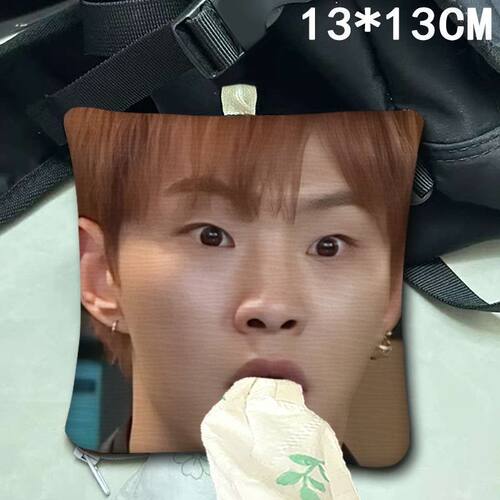 SEVENTEEN抽纸袋崔胜哲