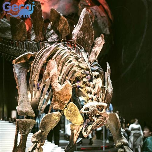 恐龙古生物玻璃钢化石模型商场展览儿童科普展展品定制厂家