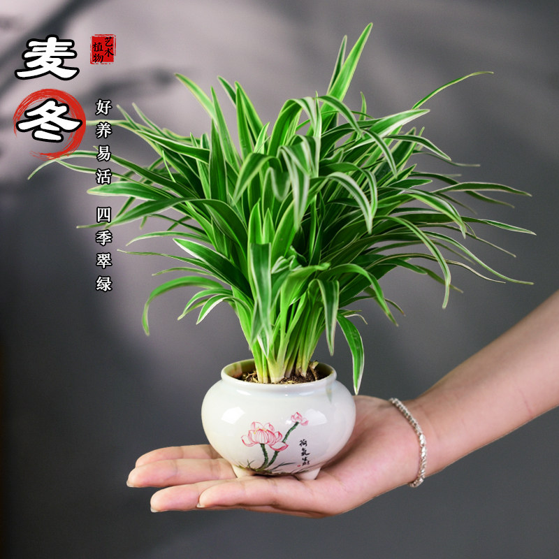 麦冬茶桌接待前台书房客厅办公室图片