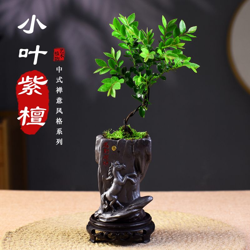 紫檀黑骨茶书房客厅办公桌茶几