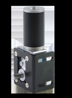 名扬5840-31ZY双轴蜗轮蜗杆马达大扭力微小型12v 24v直流减速电i.