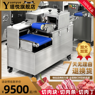 鲜肉切丁机商用全自动切肉机切肉片肉丝鸡柳红烧肉分条机切肉块机