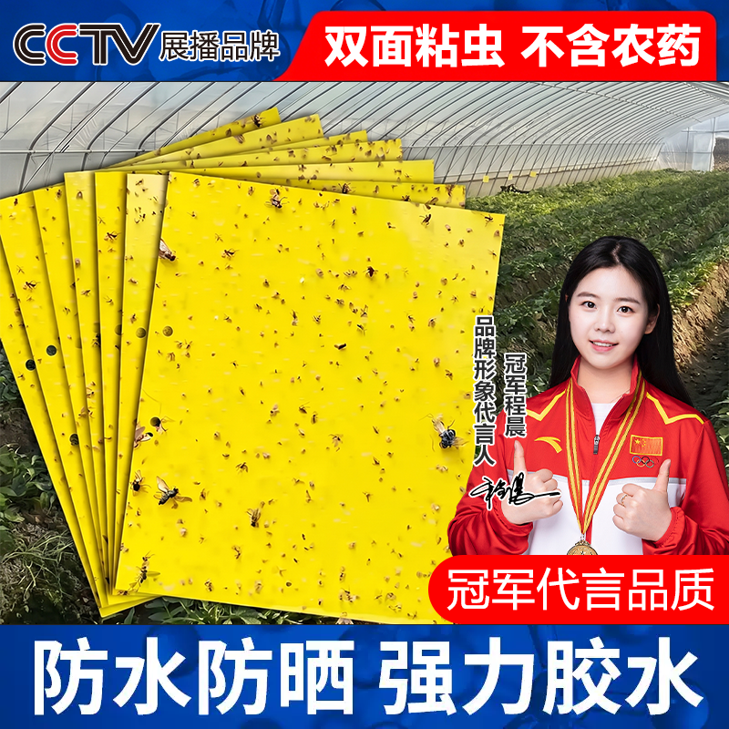 黄板双面粘虫板蓟马小黑飞粘板果蝇诱捕器防水强力胶水不含农药