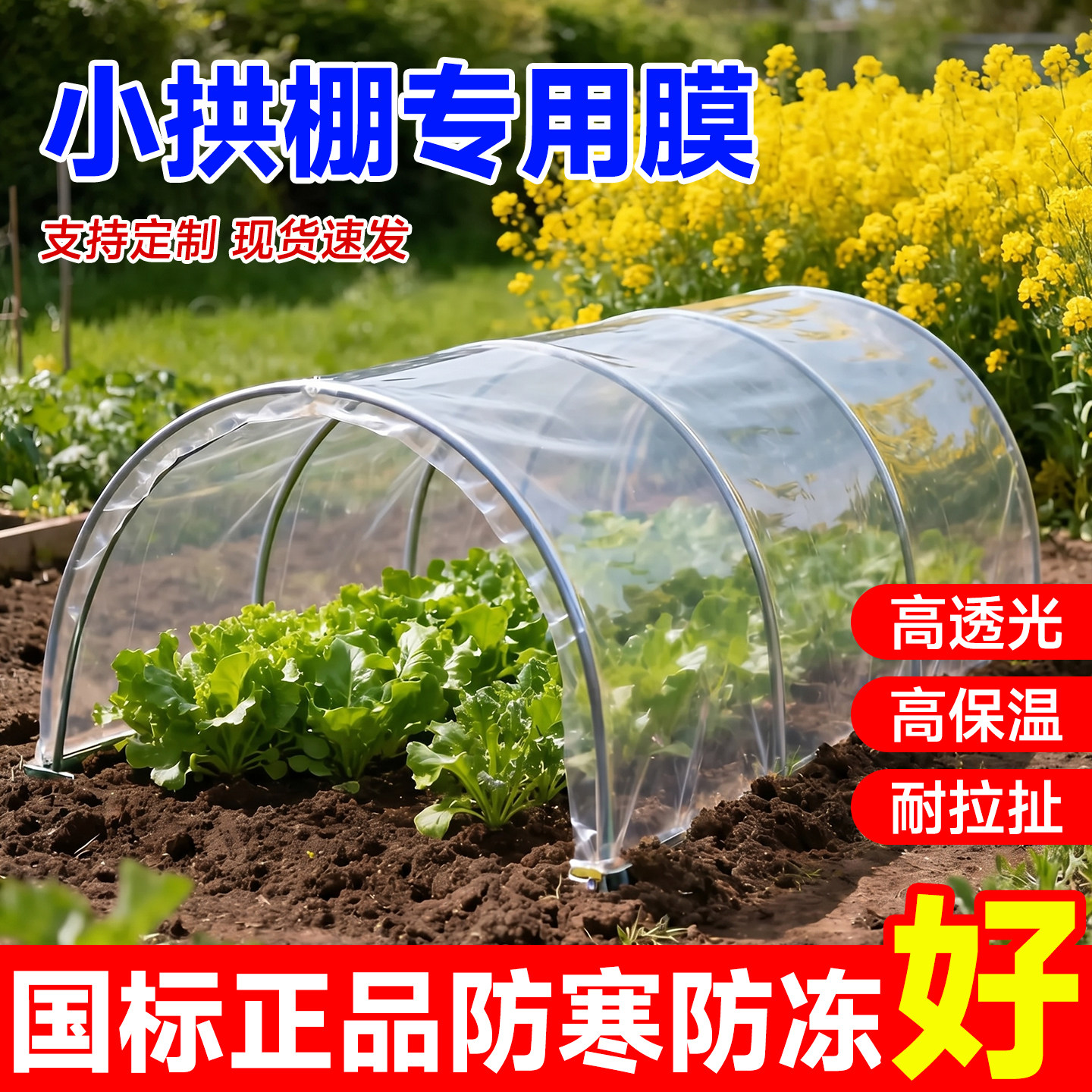 小拱棚专用膜透明大棚塑料膜内膜塑料薄膜农用蔬菜保温膜防寒地膜