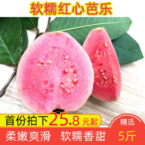 红心番石榴广西特产潘巴乐