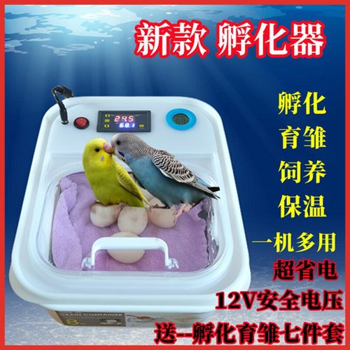 孵化器小型家用全自动鹦鹉智能