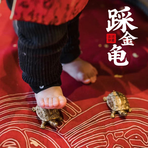 【小红书推荐】脚踩金龟一生富贵