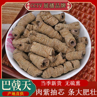 巴戟天非中药材泡酒搭韭菜籽淫羊藿巴戟天肉苁蓉覆盆子锁阳菟丝子