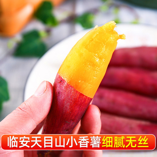 鲜彤正宗天目山小香薯新鲜现挖