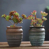 特价 多肉花盆陶瓷 包邮 清仓大号粗陶透气复古创意小老桩肉肉植物盆