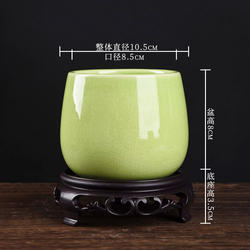 兰草兰花蝴蝶兰专用花盆带托盘