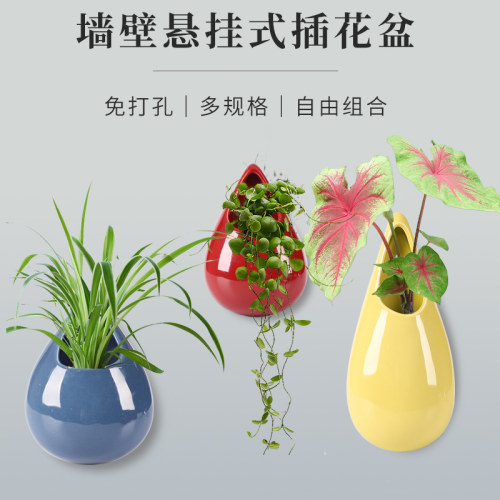花盆水培创意免打孔陶瓷