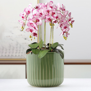 网红花盆陶瓷白色蝴蝶兰专用盆北欧简约桌面绿植室内盆栽兰花套盆