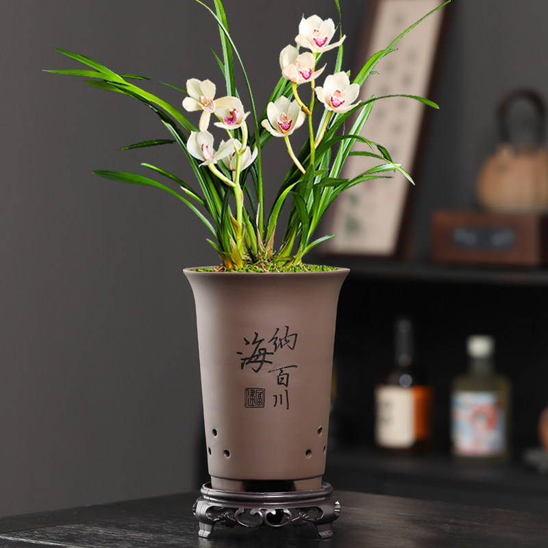 紫砂兰花盆兰草专用盆君子兰蝴蝶兰绿植大花蕙兰花盆陶瓷大号特价图片
