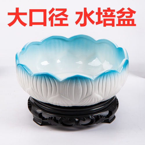 无孔大号铜钱草花盆陶瓷水仙花盆
