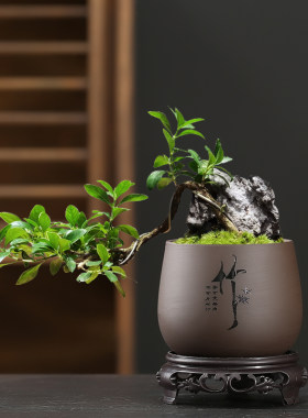 紫砂花盆带底座盆景专用特价清仓
