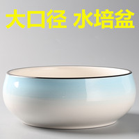 無孔水仙花陶瓷特價清倉銅錢簡約