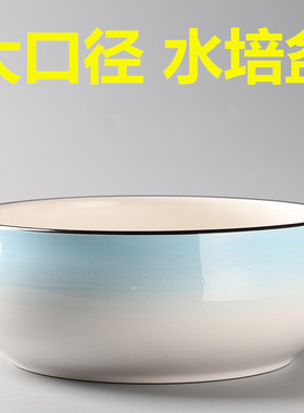 无孔水仙花盆陶瓷特价清仓铜钱草睡碗莲简约家用大号水培植物花盆