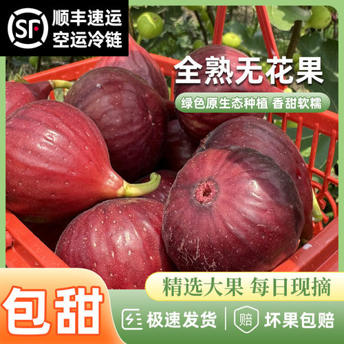 顺丰空运冷链全熟无花果软糯香甜