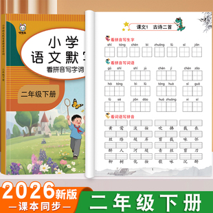 看拼音写词语二年级上下册语文专项强化训练同步练习册小学生字注音拼读练习题人教版配套教材2年级语文书拼音练习辅导书