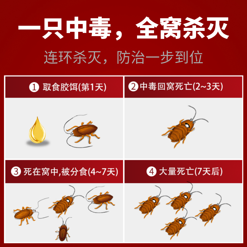 妙招姐杀蟑胶饵一窝端蟑螂药灭蟑螂贴克星屋小强家用驱除神器