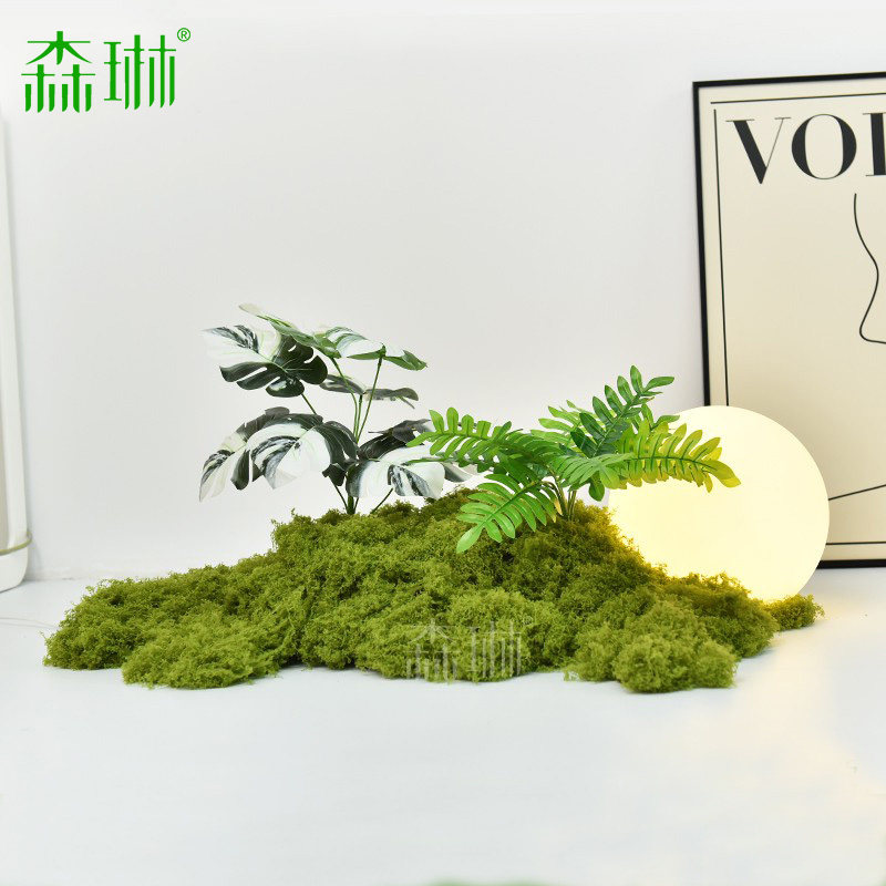 彷真绿色植物造景苔藓微景观假植物室内高端彷生落地装饰布置盆景