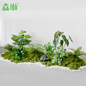 彷真绿色植物造景假苔藓植物装 饰彷生花摆放室内玄关阳台微景观草