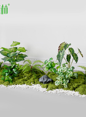 彷真绿色植物造景假苔藓植物装饰彷生花摆放室内玄关阳台微景观草