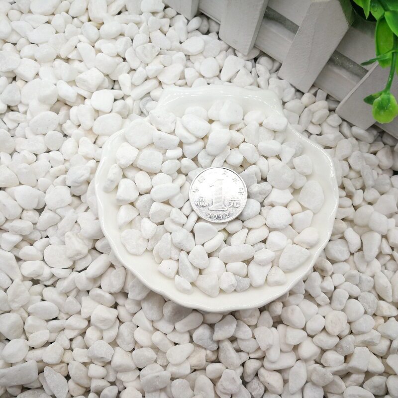 天然白石子鹅卵石白石头汉白玉园林园艺盆栽彷真绿植铺面庭院造景