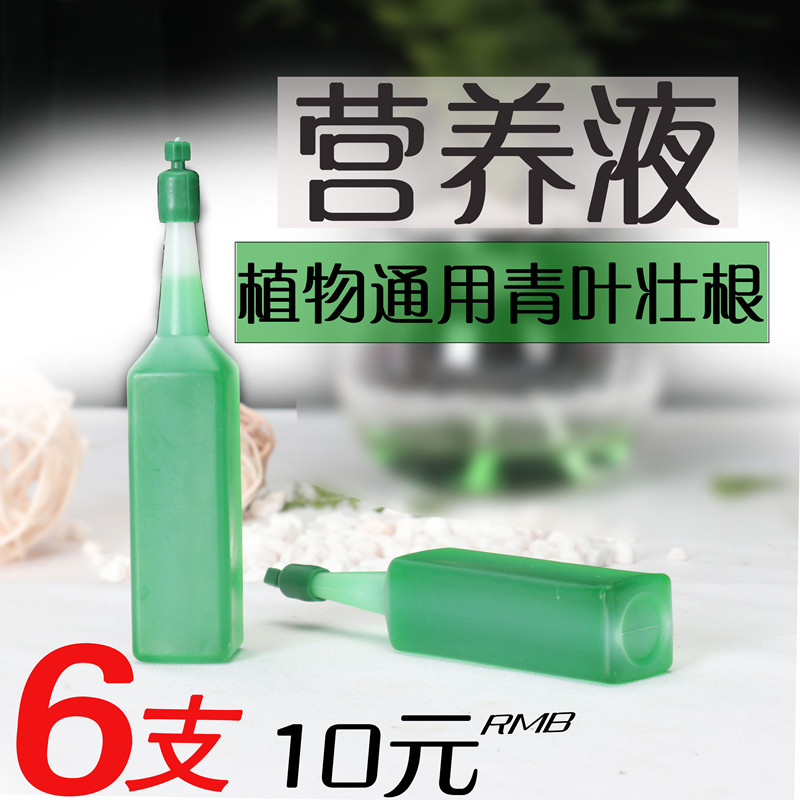 绿萝营养液植物营养液通用型花肥 家用 通用型盆栽植物有机肥料|msdalam kategori penghantaran bunga/bunga simulasi/tumbuhan berkebun, bunga/Tumbuh-tumbuhan tumbuh-tumbuhan pasu (baru), tumbuh-tumbuhan hijau - dari Buy2taobao.com untuk memberikan perkhidmatan ejen Taobao profesional membeli