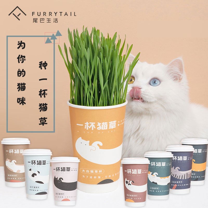 尾巴生活一杯猫草猫薄荷盆栽种子猫零食宠物种植套装猫薄荷草66g在类目 宠物/宠物食品及用品, 猫零食中 - 来自Buy2taobao.com提供专业的淘宝代购服务