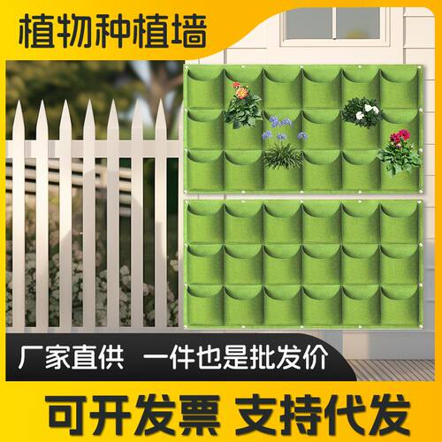 自吸水绿植墙挂壁花盆
