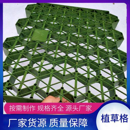 植草格塑料草坪格厂家直销