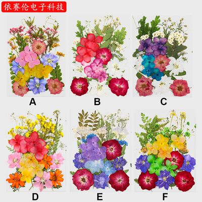 干花压花组合包真花押花材料