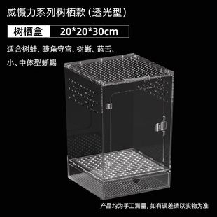 亚克力蜥蜴爬宠守宫树栖盒饲养箱生态沙漠造景宠物蛇树栖角蛙
