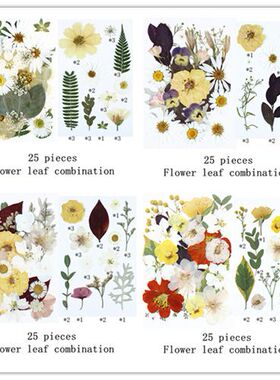 25片花叶组合包真花压花植物标本花瓣妆押花台灯蜡烛贴画干花diy