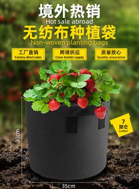 美植袋跨境无纺布种植袋