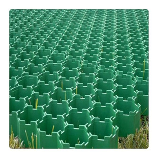 绿色塑料植草格停车场小区绿化种草用消防车道会展中心绿化植草格