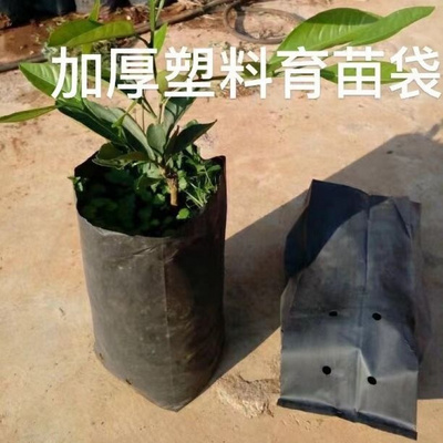 黑色加厚PE育苗袋批发果苗杯盆