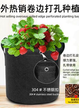 森景卷边打孔植树袋51