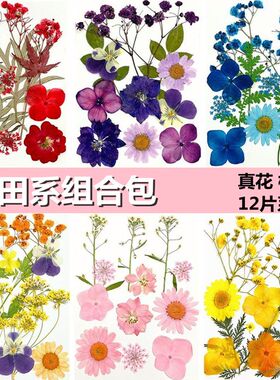迈峰花艺真花压花材料包