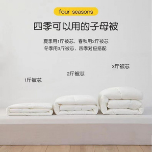 儿童幼儿园被芯内胆三件套丝绵被子被芯枕芯床垫纯棉花被褥芯午睡