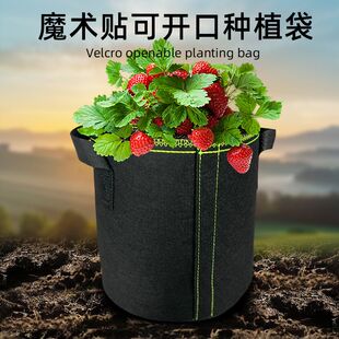 森景侧边魔术贴可开口绿边种植袋环保营养育苗植树袋美植袋可降解