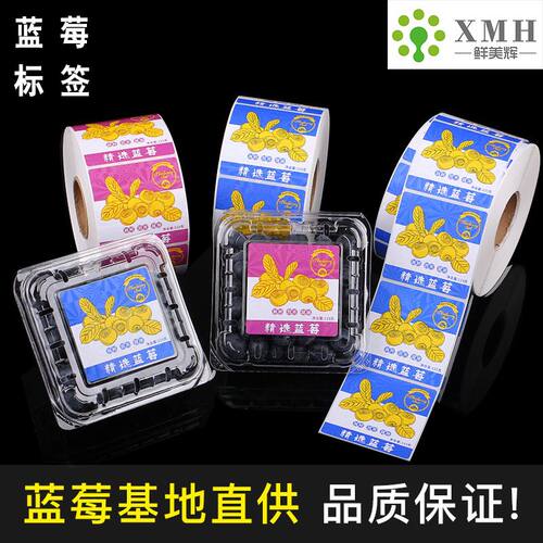 蓝莓标签贴纸水果商标logo果