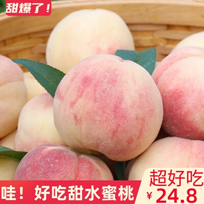 现摘砀山新鲜水蜜桃10斤应当季水果孕妇脆软甜蒙阴大毛桃子红血桃