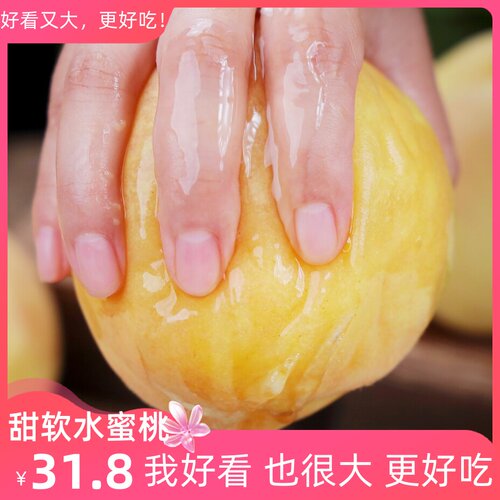 白凤湖景水蜜桃15个无锡软甜水果