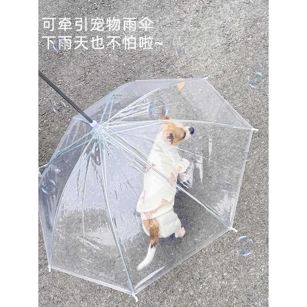 泰迪小狗带宠物加大加固链子透明雨伞透明狗用品遛狗伞