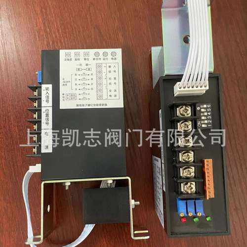 上海  220V电动执行器模块CPA101-220，CPA100-220控制模块4-20mA