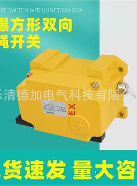 PL20-2D方形双向拉绳开关 RLS-HZ皮带输送机拉绳开关HRLX-III