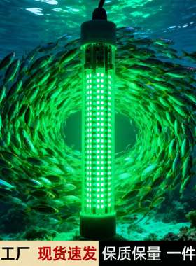 12-24V高亮大功率50W户外IP68防水LED诱鱼灯集鱼灯水下灯快速聚鱼